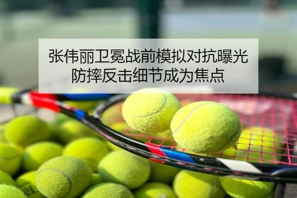 张伟丽卫冕战前模拟对抗曝光 防摔反击细节成为焦点